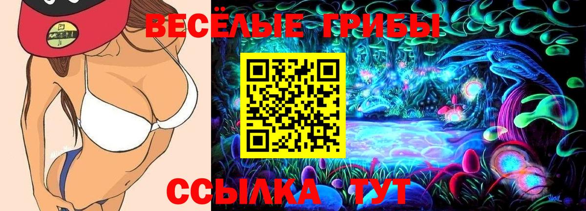 Сосновоборск  Галлюциногенные грибы Psilocybe  Вход с VPN 