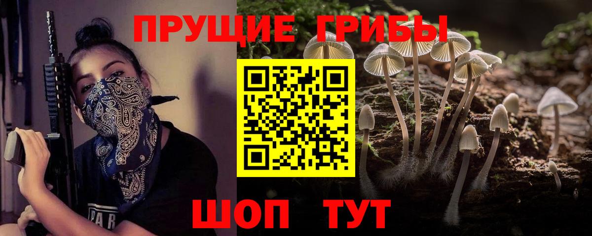 Галлюциногенные грибы мухоморы Сосновоборск